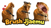 Brush Jjaemu img