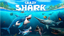 Crazy Shark img