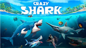 Crazy Shark img