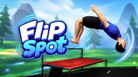 Flip Spot img