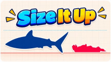 Size It Up img