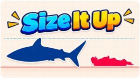 Size It Up img